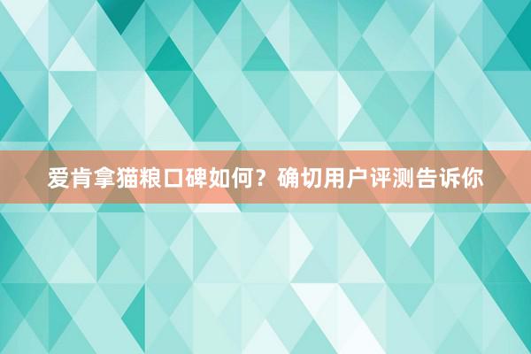 爱肯拿猫粮口碑如何？确切用户评测告诉你